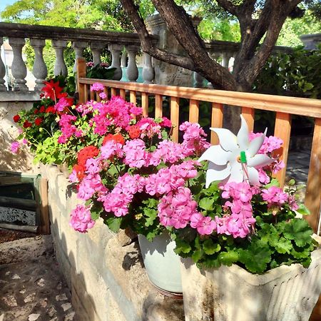 Charmant Appart Avec Jardin Aigues-Mortes Exteriér fotografie