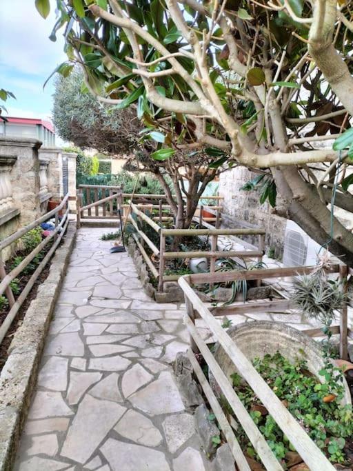 Charmant Appart Avec Jardin Aigues-Mortes Exteriér fotografie